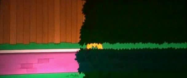 nahy bart